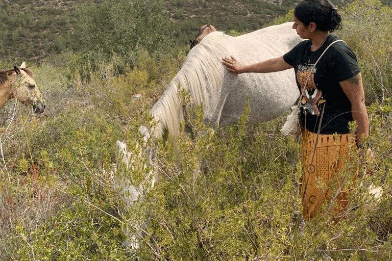Dona en un entorn natural, envoltada de vegetació silvestre, acariciant un cavall blanc mentre un altre cavall marró es troba a prop.