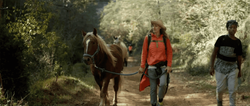 Una dona amb jaqueta taronja i barret guia un cavall marró amb una crinera clara, mentre una altra persona camina al seu costat.