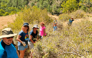 Grup de voluntaris al costat de cavalls en plena natura, amb les muntanyes del Cadí-Moixeró de fons.