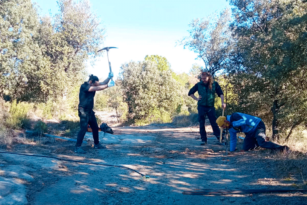 Persones voluntàries de la Fundació Miranda treballant enmig de la natura per condicionar els espais on viuen els cavalls en llibertat.
