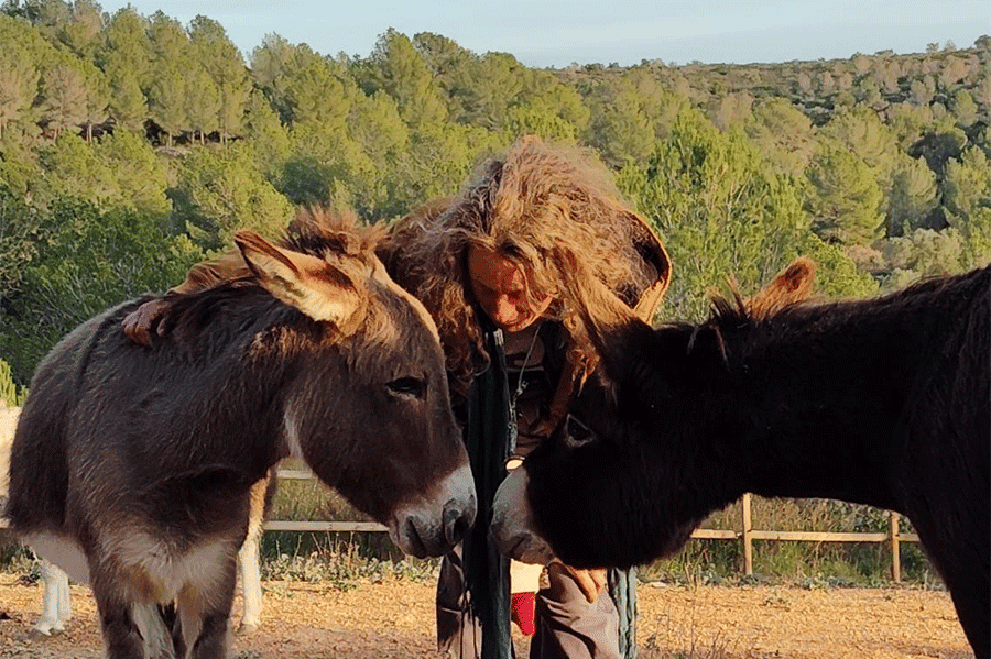 Una persona comparteix un moment íntim amb dos rucs en llibertat a la Fundació Miranda, envoltats de natura i harmonia. Un espai de respecte i benestar animal on aquests éssers recuperen la seva dignitat i llibertat.