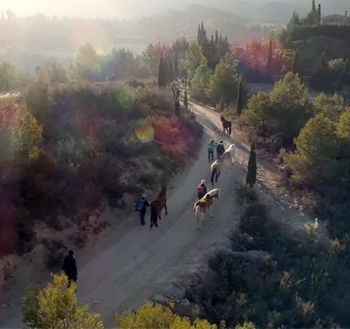 Camí de Marina-Fundació Miranda