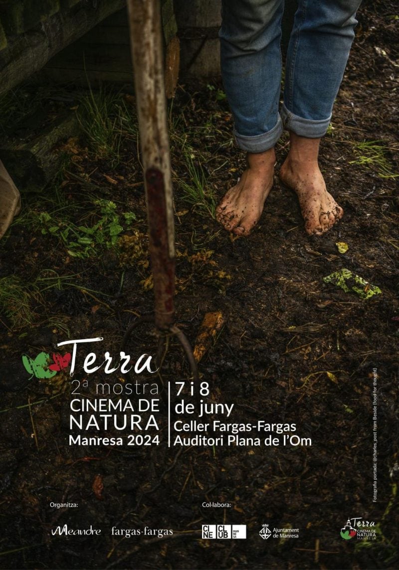 Persona passejant descalça pel bosc