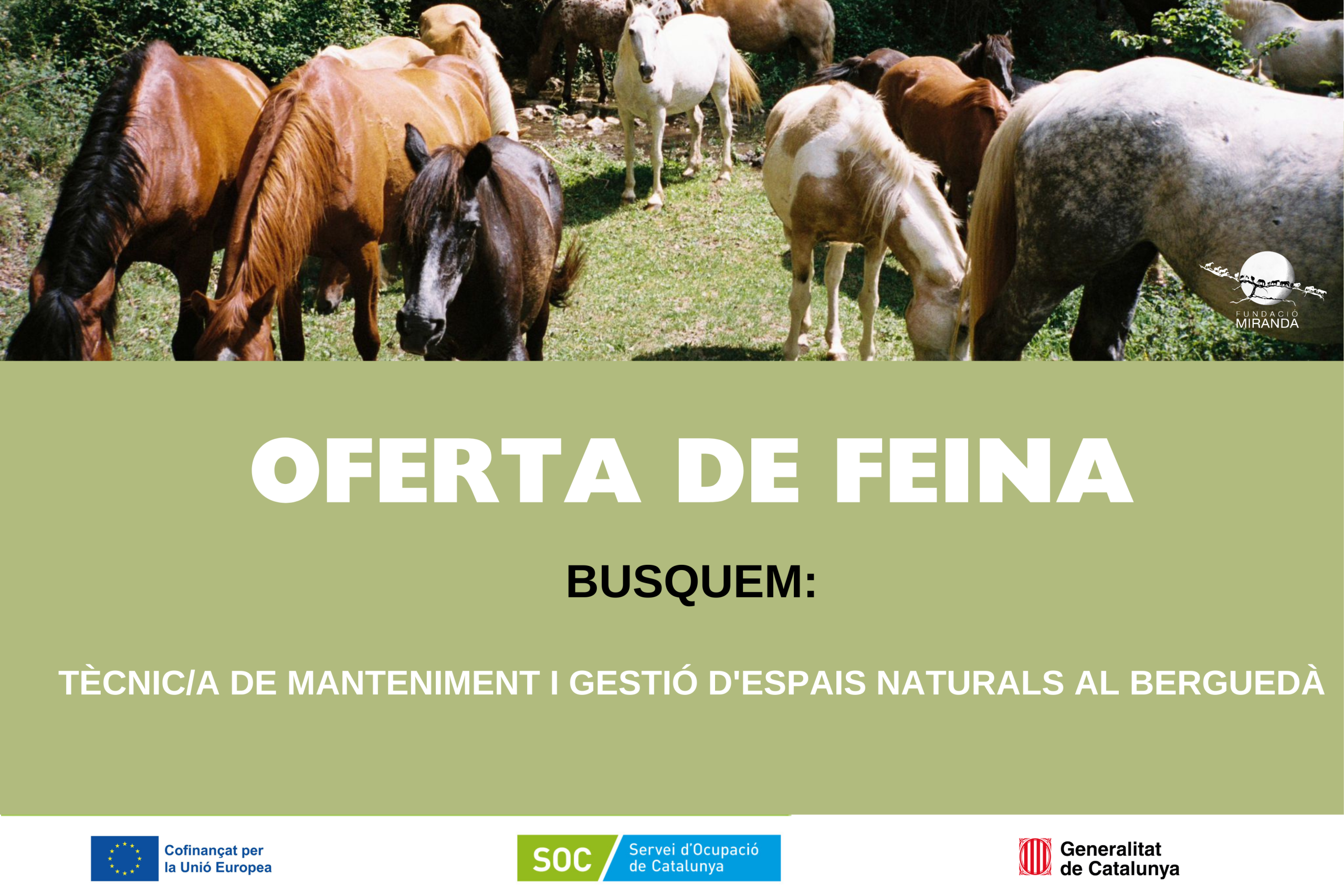 Busquem persones amb passió per la natura