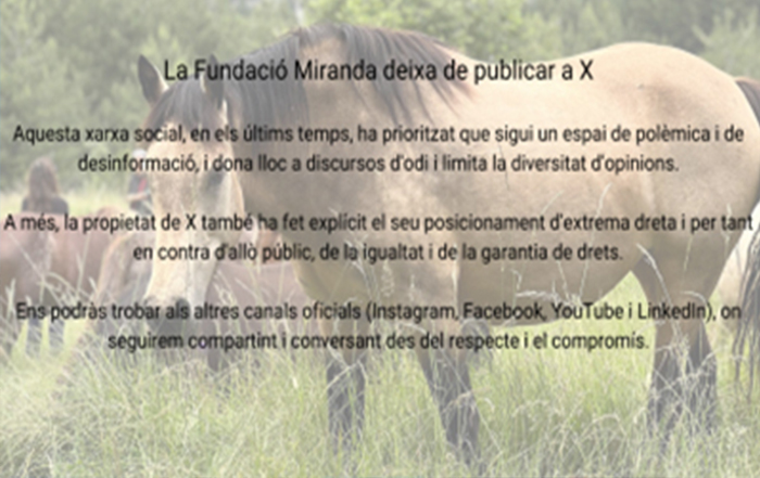 Text amb un cavalls al fons