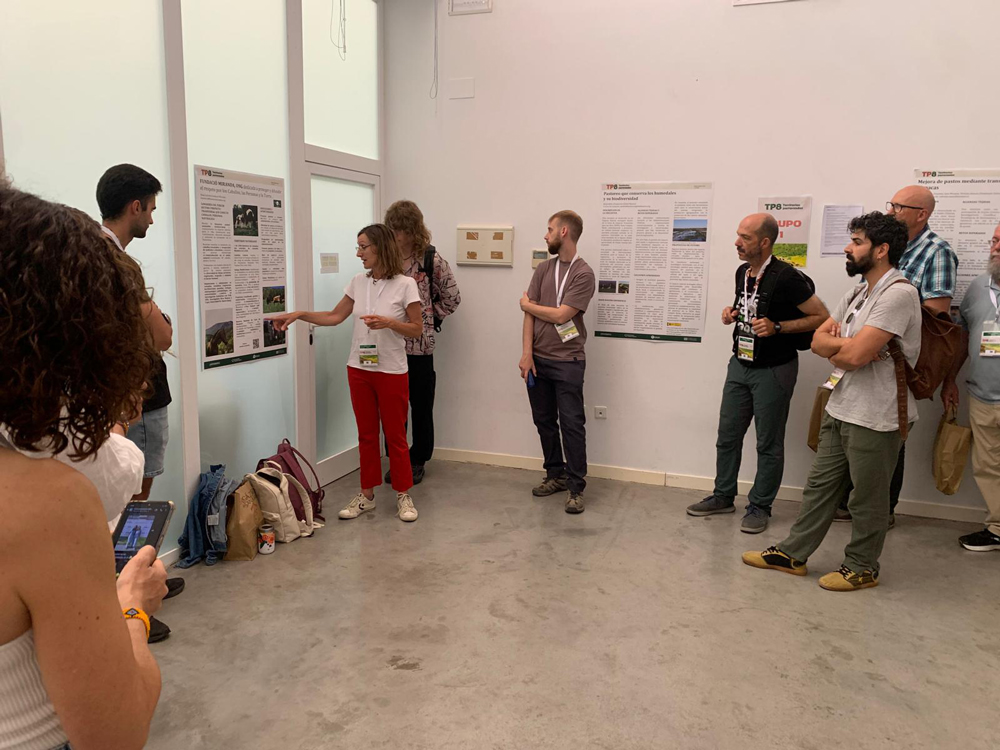 Territorios Pastoreados-Fundació-Miranda Una fotografia d'un grup de persones en una sala amb parets blanques, mirant i interactuant amb uns pòsters informatius penjats a la paret.