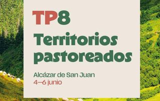 Territorios pastoreados. Alcázar de Sant Juan