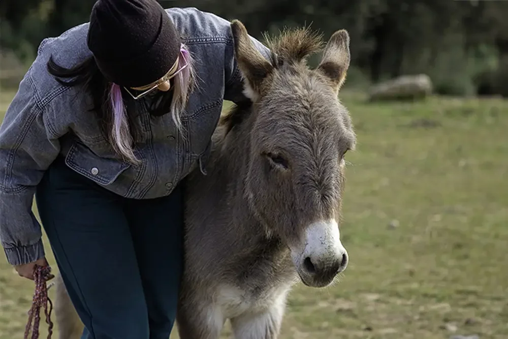 Una persona amb gorra i jaqueta de trajà abraça suaument un ruc gris de prop en un prat verd.
