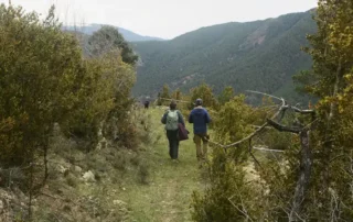 Dues persones caminen d'esquena per un sender estret de muntanya a Ansovell, envoltades de vegetació baixa i amb vistes a una vall profunda i muntanyes al fons.