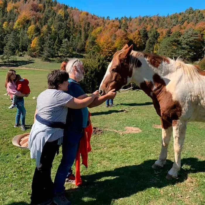 Un home gran amb barba blanca i una dona amb samarreta de ratlles, acaricien el musell d'un cavall pinto en un prat verd i assolellat.