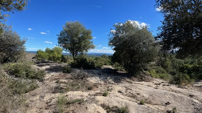 Un paisaje montañoso abierto y rocoso bajo un cielo azul vibrante con algunas nubes dispersas, con varios tipos de árboles y arbustos de diferentes tamaños.