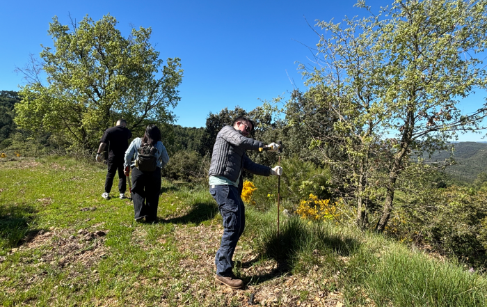 Team building-Voluntariat-Fundació Miranda Grup de voluntaris treballant en un entorn natural; en primer pla, un home clava una tija metàl·lica a terra amb un martell, mentre altres companys caminen per un prat verd envoltat d'arbres sota un cel blau clar.