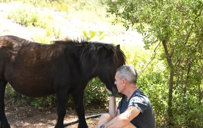 Un home assegut a terra acaricia afectuosament un cavall de pelatge fosc en un espai natural boscós.