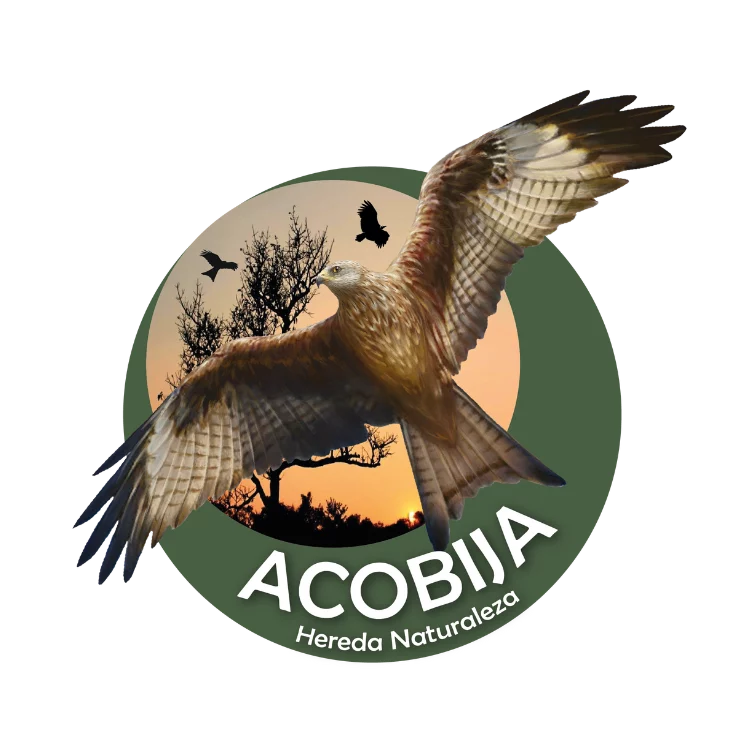 Acobija logo
