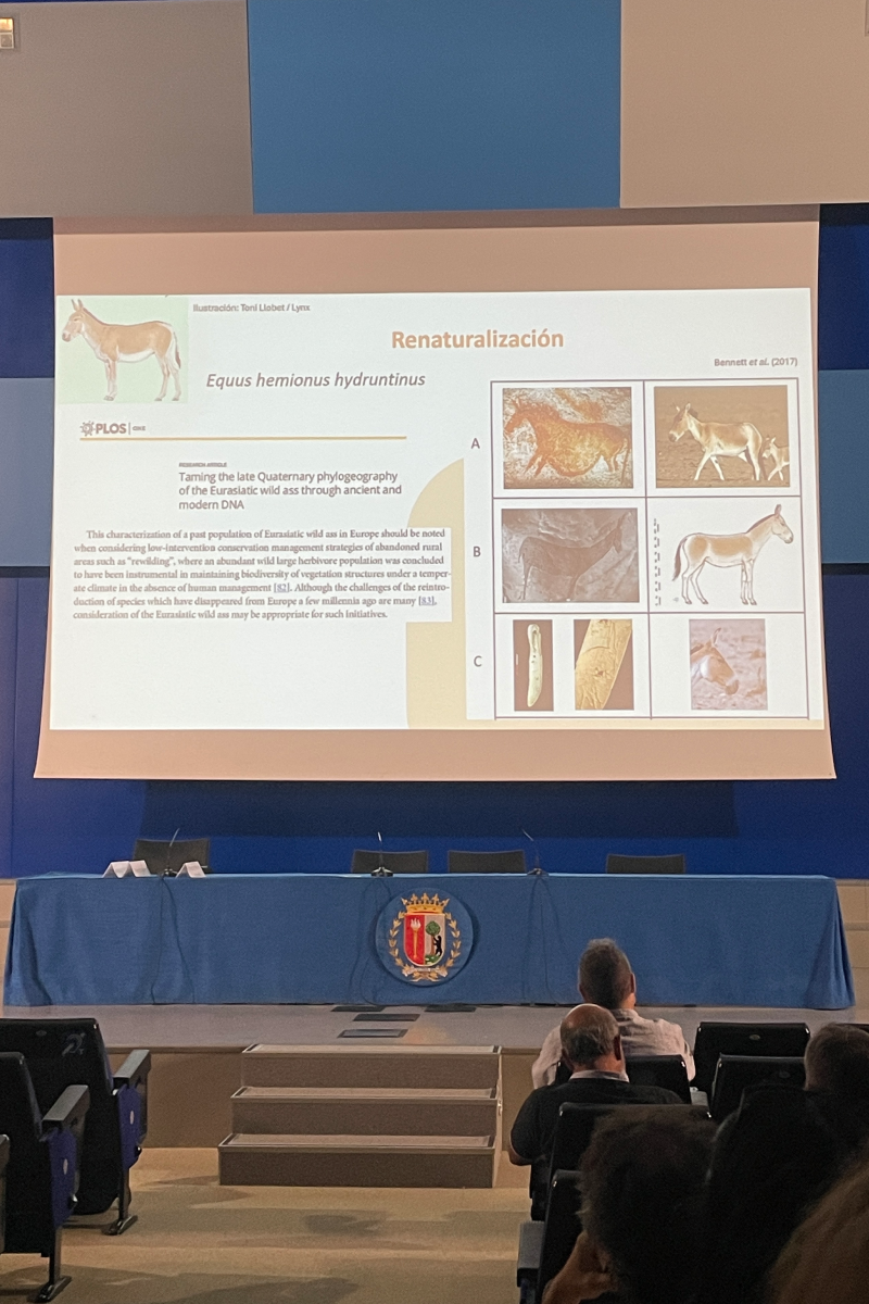 Congrés Ricotí-Fundació Miranda-Renaturalització