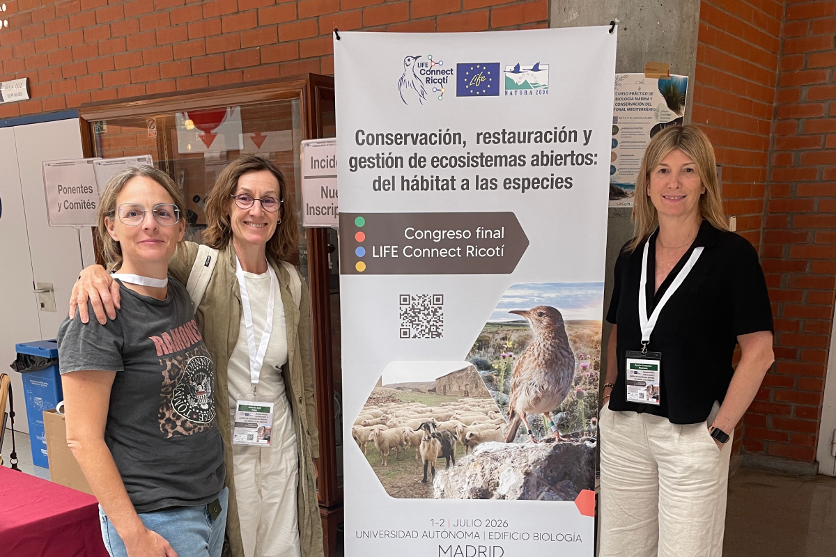 Congrés Ricotí-Fundació Miranda