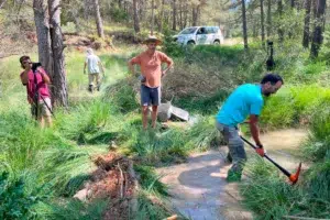 Diversos voluntaris col·laboren en la modificació del curs d'un rierol amb eines i troncs per afavorir la biodiversitat aquàtica en el marc del projecte Giska.