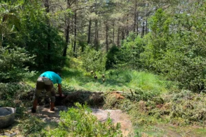 Un participant treballant col·locant branques i troncs a la llera d'un rierol per crear zones d'aigua tranquil·la i fomentar la biodiversitat en el marc del projecte Giska.