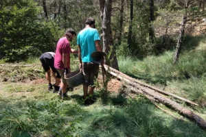 Un grup de persones d'esquenes carregant eines i materials de construcció natural al costat dels troncs disposats per a la creació dels microhàbitats aquàtics.